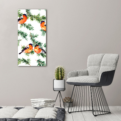 Staand foto op plexiglas Roodborstje en naaldbomen