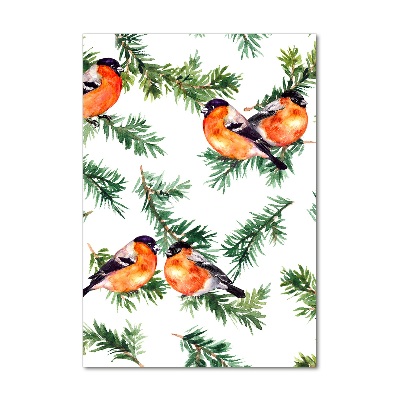 Staand foto op plexiglas Roodborstje en naaldbomen