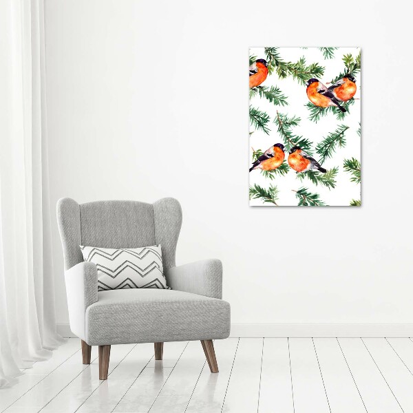 Staand foto op plexiglas Roodborstje en naaldbomen