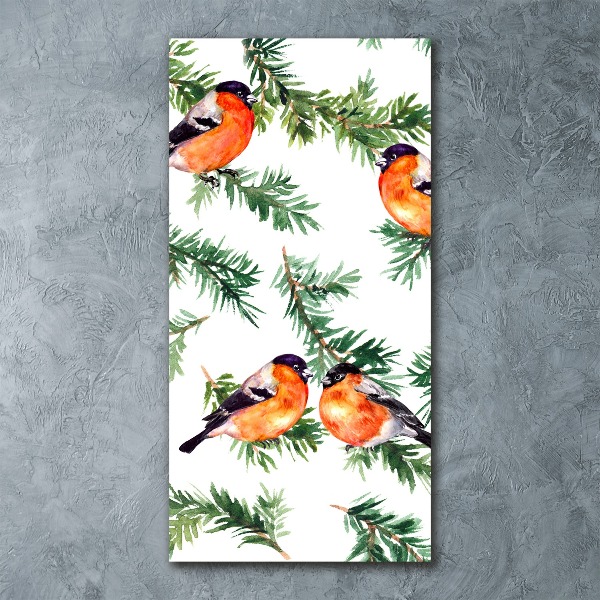 Staand foto op plexiglas Roodborstje en naaldbomen