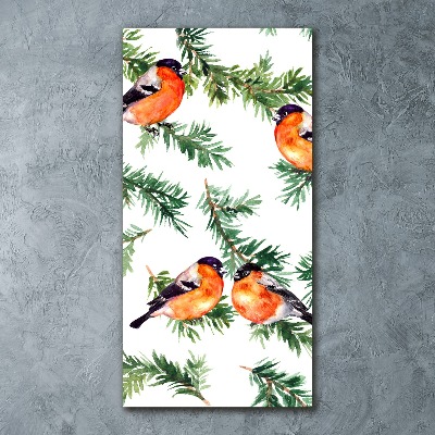 Staand foto op plexiglas Roodborstje en naaldbomen