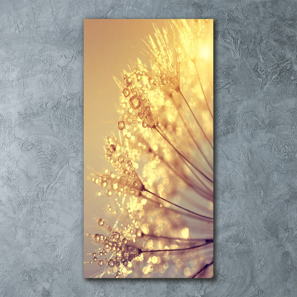 Staand plexiglas foto Paardenbloemzaden