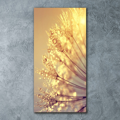 Staand plexiglas foto Paardenbloemzaden