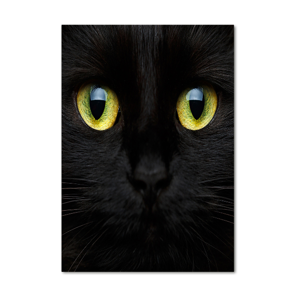 Staand foto plexiglas Kattenogen