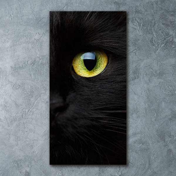 Staand foto plexiglas Kattenogen