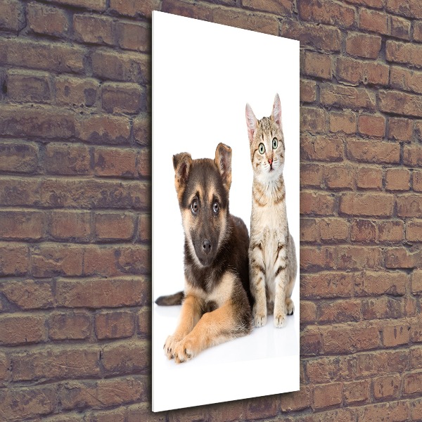 Staand foto in plexiglas Hond en kat
