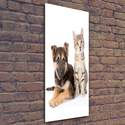 Staand foto in plexiglas Hond en kat
