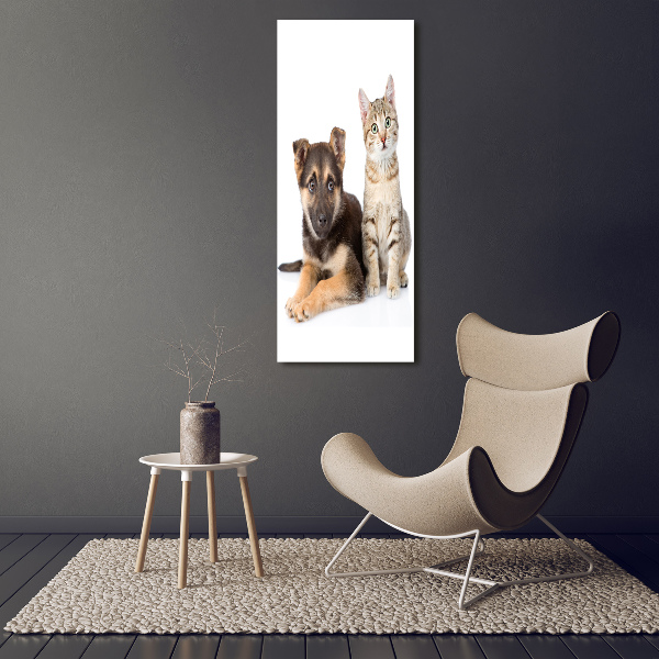 Staand foto in plexiglas Hond en kat