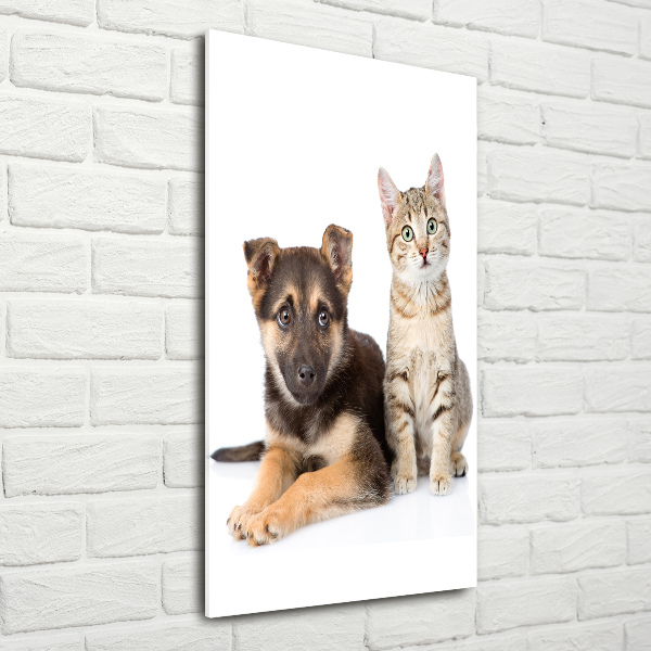Staand foto in plexiglas Hond en kat