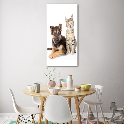 Staand foto in plexiglas Hond en kat