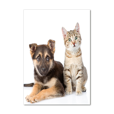 Staand foto in plexiglas Hond en kat