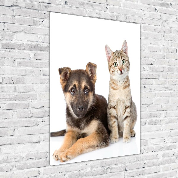 Staand foto in plexiglas Hond en kat