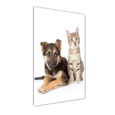 Staand foto in plexiglas Hond en kat