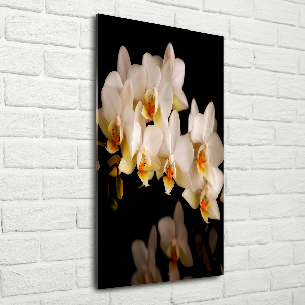 Staand foto op plexiglas Orchidee