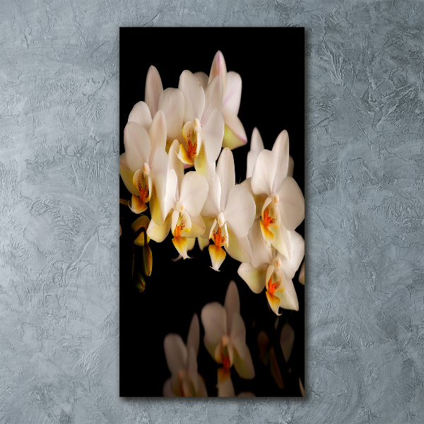 Staand foto op plexiglas Orchidee