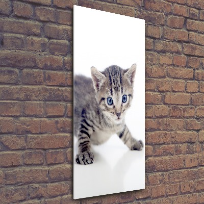 Staand foto op plexiglas Kleine kat