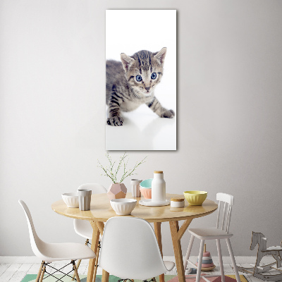 Staand foto op plexiglas Kleine kat