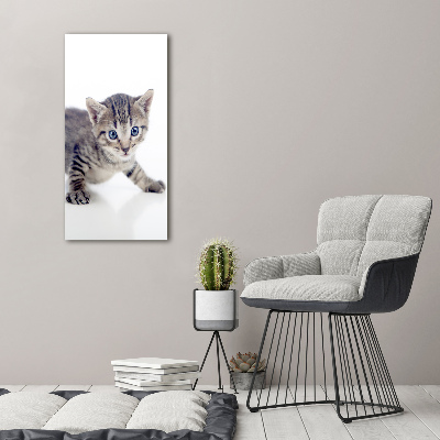 Staand foto op plexiglas Kleine kat