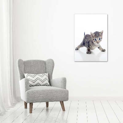Staand foto op plexiglas Kleine kat