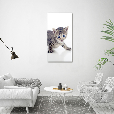 Staand foto op plexiglas Kleine kat