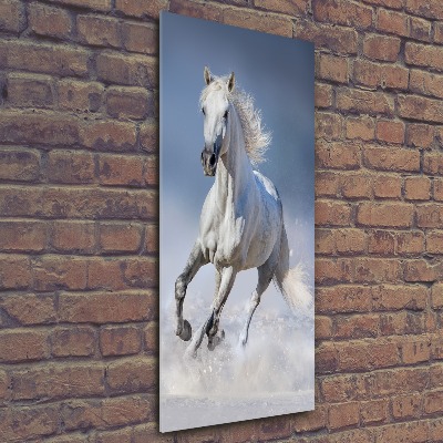 Staand plexiglas foto Een wit paard in galop