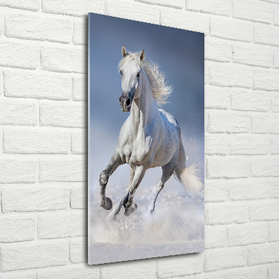 Staand plexiglas foto Een wit paard in galop