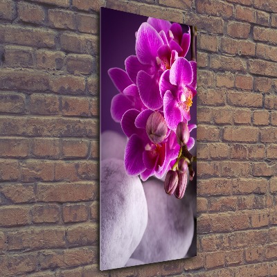 Staand plexiglas foto Roze orchidee