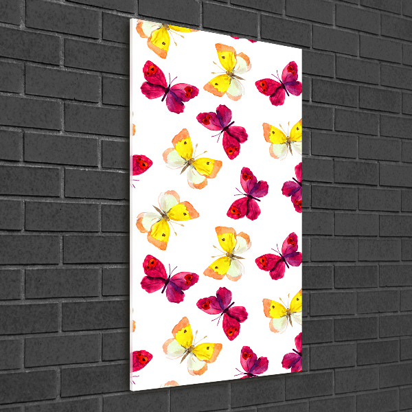 Staand plexiglas foto Kleurrijke vlinders