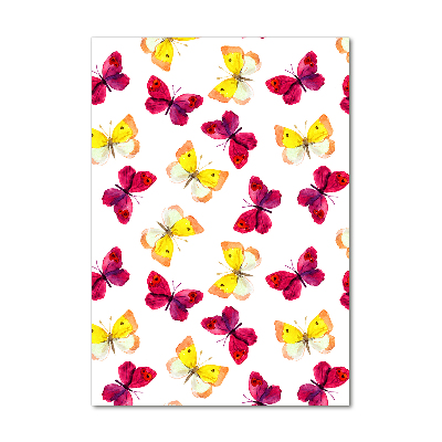 Obraz zdjęcie akryl pionowy Kolorowe motyle