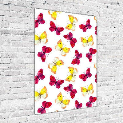 Obraz zdjęcie akryl pionowy Kolorowe motyle