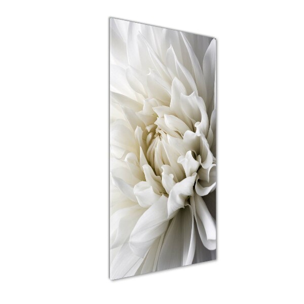 Staand foto plexiglas Witte dahlia
