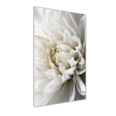 Staand foto plexiglas Witte dahlia