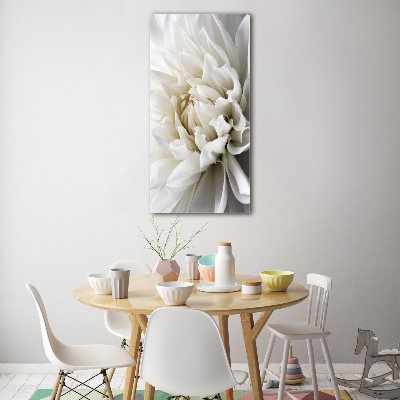Staand foto plexiglas Witte dahlia