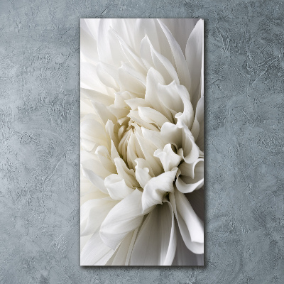 Staand foto plexiglas Witte dahlia
