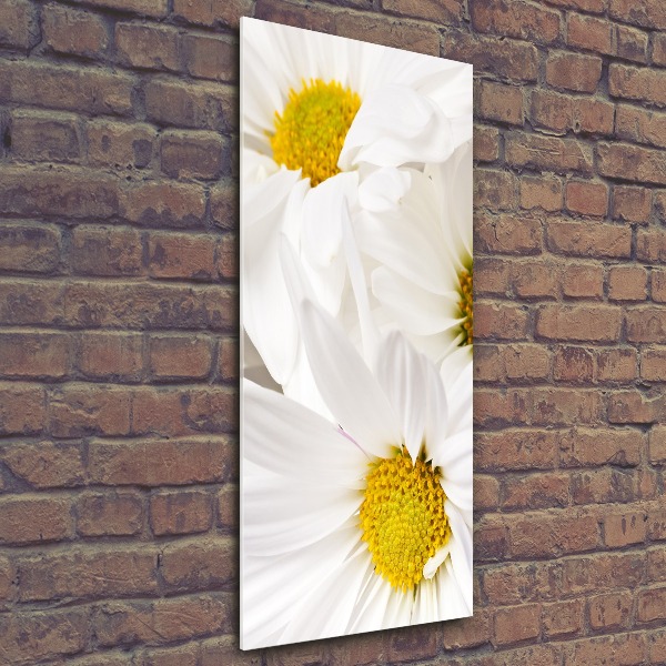 Staand foto in plexiglas Madeliefjes