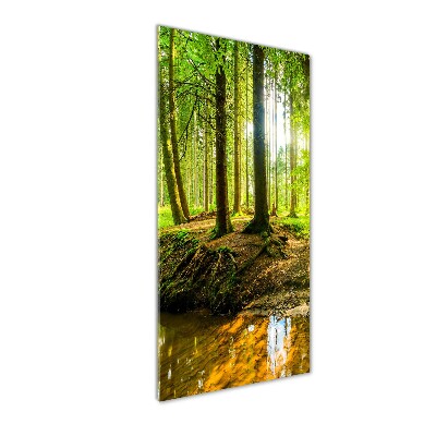 Staand foto op plexiglas Een beekje in het bos