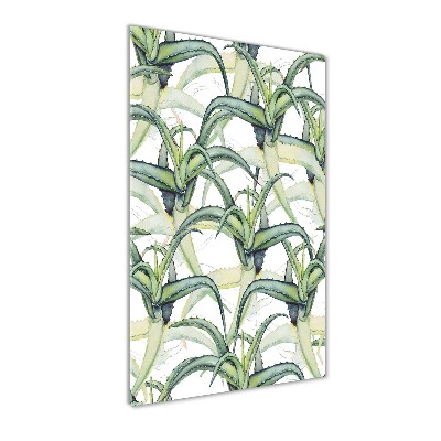 Staand foto in plexiglas Aloë