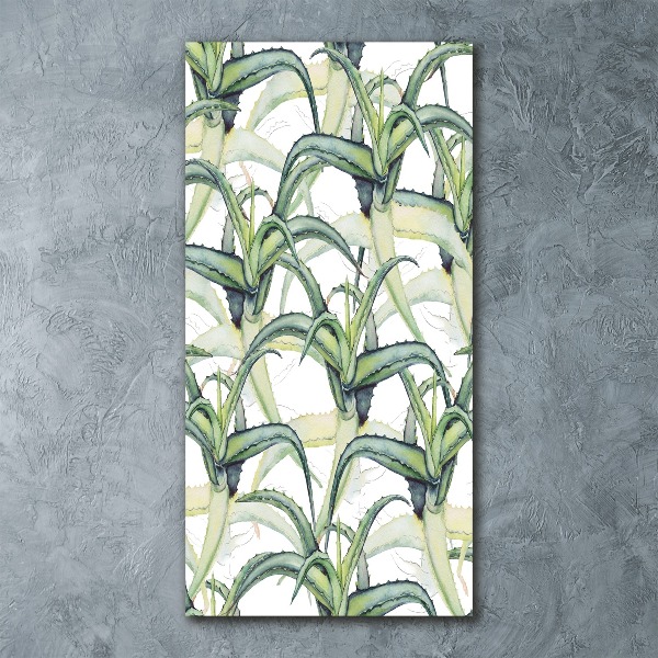 Staand foto in plexiglas Aloë