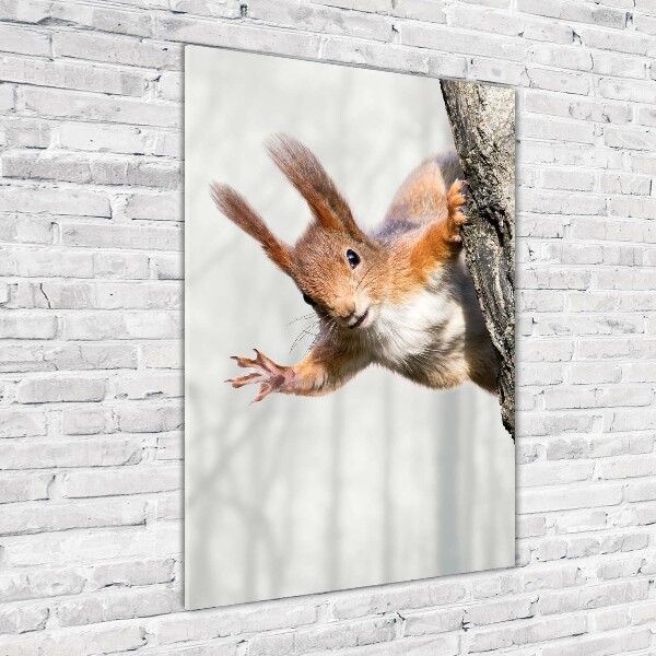 Staand foto plexiglas Eekhoorn in een boom