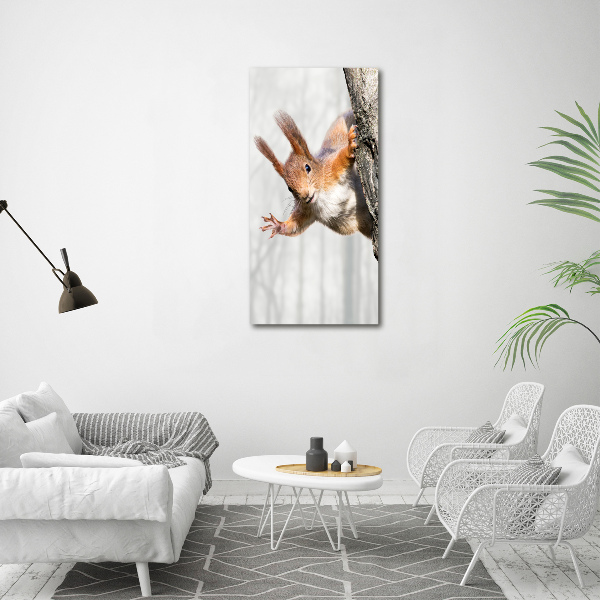 Staand foto plexiglas Eekhoorn in een boom