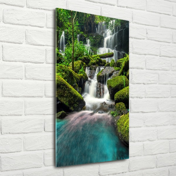 Staand foto plexiglas Waterval in de jungle