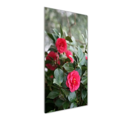 Staand foto plexiglas Camelia