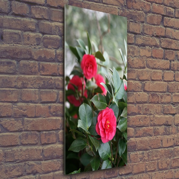 Staand foto plexiglas Camelia
