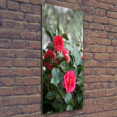 Staand foto plexiglas Camelia