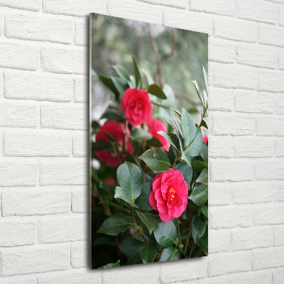 Staand foto plexiglas Camelia