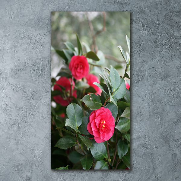Staand foto plexiglas Camelia