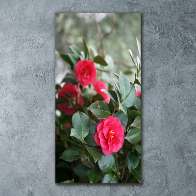 Staand foto plexiglas Camelia