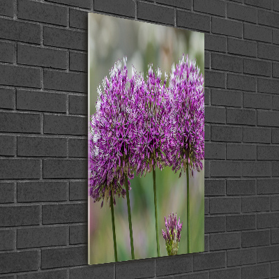 Staand foto in plexiglas Knoflookbloemen