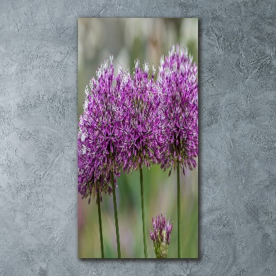 Staand foto in plexiglas Knoflookbloemen