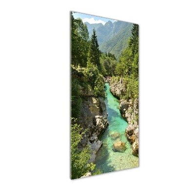 Staand plexiglas foto Bergstroom
